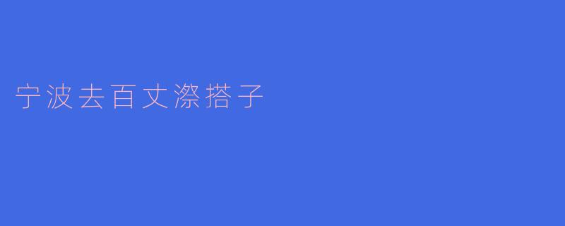 宁波去百丈漈搭子