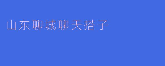 山东聊城聊天搭子