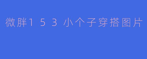 微胖153cm的小个子女生，有哪些显高显瘦的穿搭技巧？求图片参考！