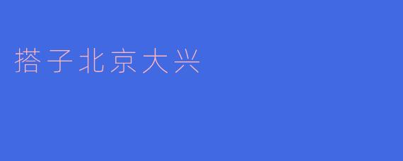 搭子北京大兴