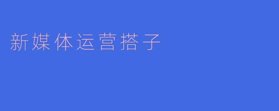 新媒体运营搭子