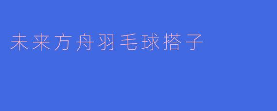 未来方舟羽毛球搭子