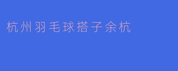 杭州羽毛球搭子余杭