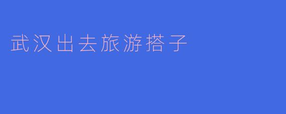 武汉出去旅游搭子