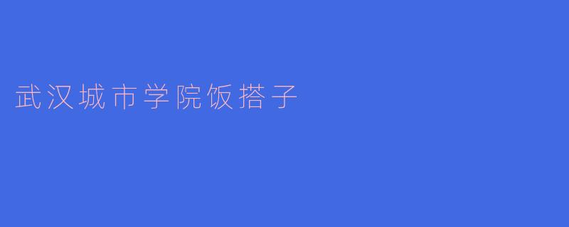 武汉城市学院饭搭子