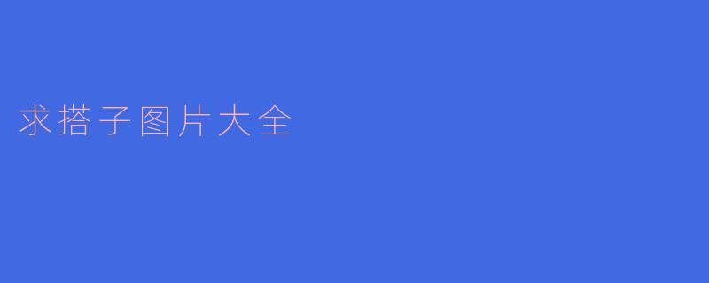 求搭子图片大全