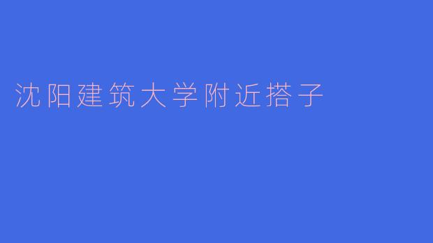 《沈阳建筑大学附近“搭子”社交指南：学习、干饭、运动，总有一款适合你！》