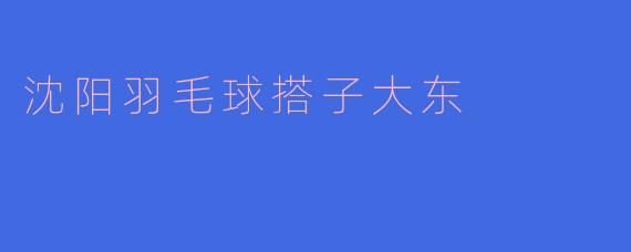 沈阳羽毛球搭子大东