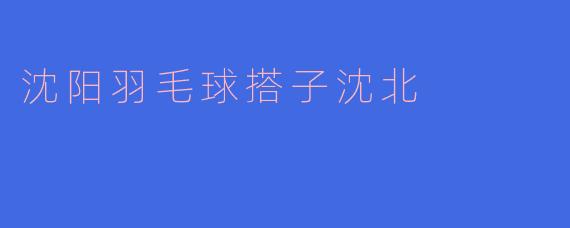 沈阳羽毛球搭子沈北