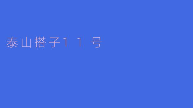 泰山搭子11号