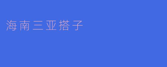 海南三亚搭子