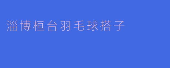 “淄博桓台羽毛球搭子：挥拍交友，健康生活新选择”