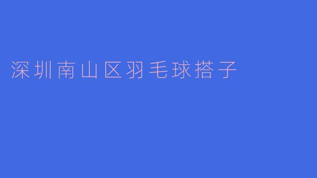 深圳南山区羽毛球搭子