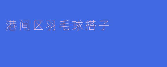 港闸区羽毛球搭子