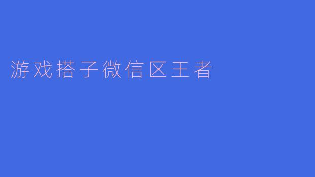游戏搭子微信区王者