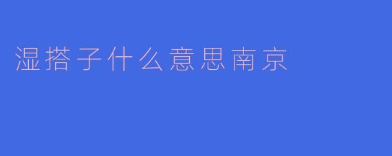 南京话里的“湿搭子”是啥意思？带你了解地道方言趣谈