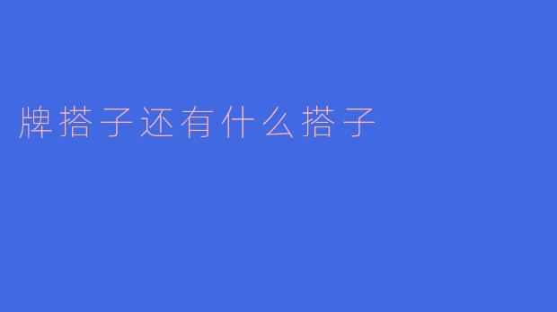 牌搭子还有什么搭子
