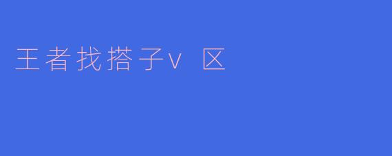 王者找搭子v区