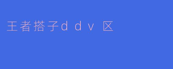 王者搭子ddv区是什么意思？怎么找队友？