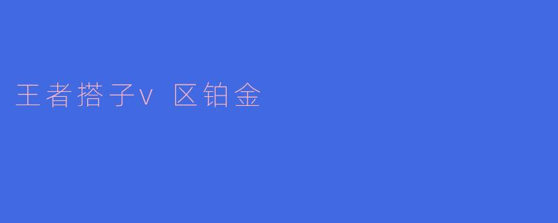 王者搭子v区铂金
