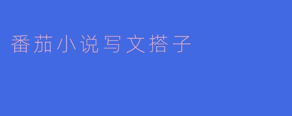番茄小说写文搭子