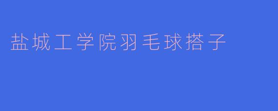 盐城工学院羽毛球搭子