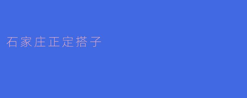 石家庄正定搭子