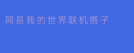 在网易我的世界联机时，如何快速找到一个靠谱的搭子？