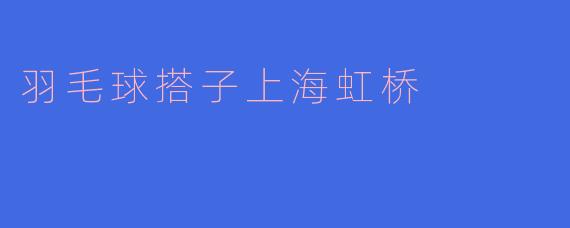 羽毛球搭子上海虹桥