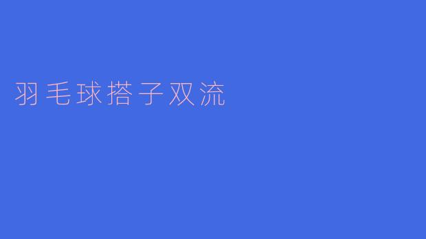 羽毛球搭子双流