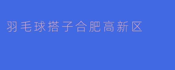 羽毛球搭子合肥高新区