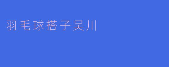 羽毛球搭子吴川