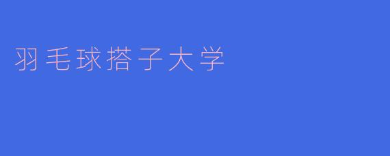 《羽毛球搭子大学：青春在球场上飞扬的友谊与热血》
