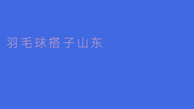 羽毛球搭子山东