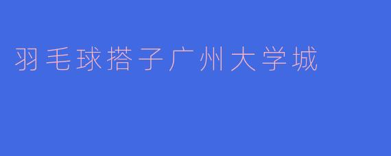 羽毛球搭子广州大学城