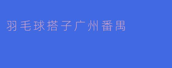羽毛球搭子广州番禺