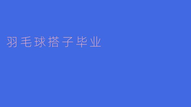 《羽球搭子毕业记：那些年，我们一起追过的羽毛球》