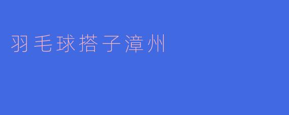 《漳州羽毛球搭子指南：寻找球友、解锁运动乐趣》