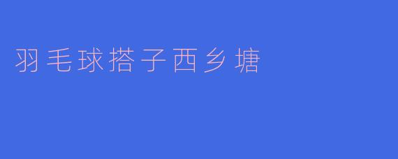 羽毛球搭子西乡塘
