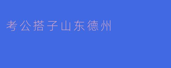 考公搭子山东德州