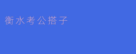 衡水考公搭子