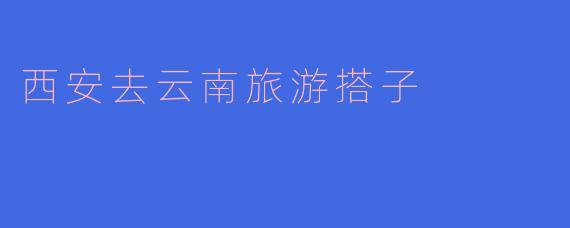 西安去云南旅游搭子