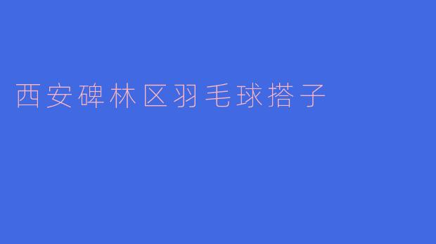 西安碑林区羽毛球搭子