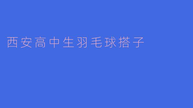 西安高中生羽毛球搭子
