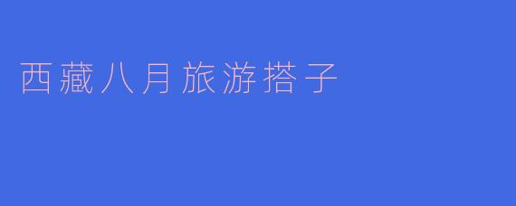 「八月西藏寻梦之旅：寻找你的高原旅行搭子」