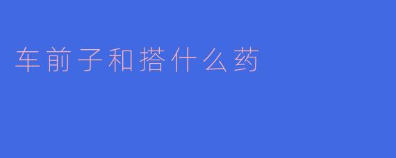 车前子和搭什么药