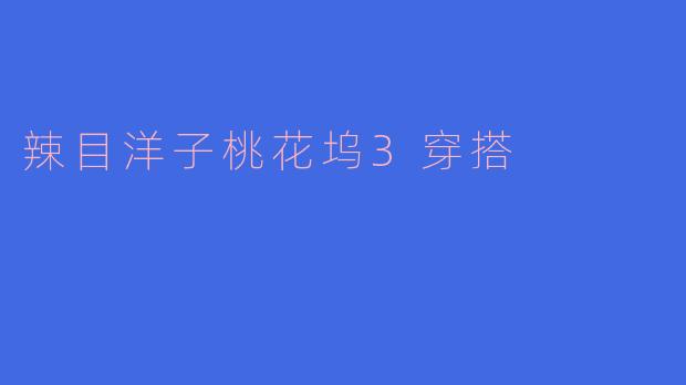 辣目洋子在《桃花坞3》中的穿搭风格有哪些亮点?