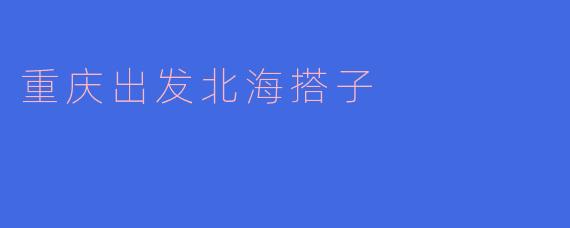 重庆出发北海搭子