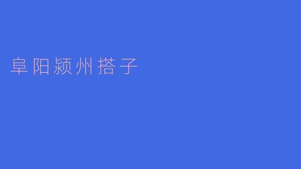 什么是“阜阳颍州搭子”？