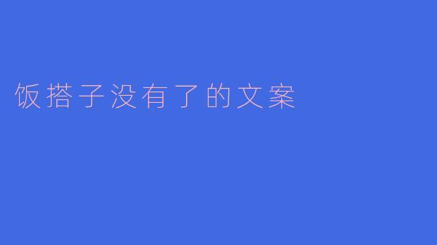 饭搭子没有了的文案
